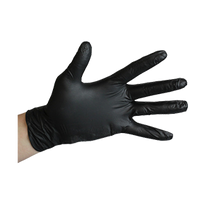 Disposable Gloves (100pk)